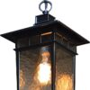 AA Warehousing Cullen 1 Light Hanging Exterior Lighting in Imperial Black Finish