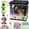 Glass Fish Tank 2.3 COLOR-WHITE Gallon Aquarium Starter Kit Small Betta Fish Tank Desktop Mini Fish Bowl for Shrimp Small Fish with Pump LED Light Simulated Water Plants and Filtering Materials