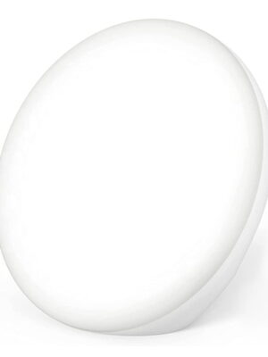 Light Therapy Lamp, UV-Free Sunlight Lamp with 3 Colors Temperature, 5 Adjustable Brightness Levels and Memory Function