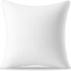 AM AEROMAX 20 ×20 Throw Pillow Memory Foam Pillow Insert - Square Accent Pillow for Decorative Cushion Bed Couch Sofa - Non-Deforming Over Time