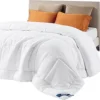 Bedsure Comforter Duvet Insert - Quilted Comforters Queen Size, All Season Duvet, Down Alternative Bedding Comforter with Tabs(White,Queen 88\"x88\")