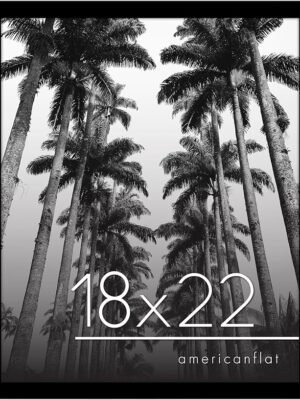 Americanflat 18x22 Picture Frame with Polished Plexiglass - Epic Collection - Gallery Wall Frames with Engineered Wood - Wide Photo Frame for Wall Display - Black